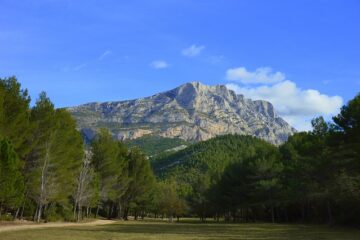 Immobilier en Provence : un territoire prisé pour sa qualité de vie